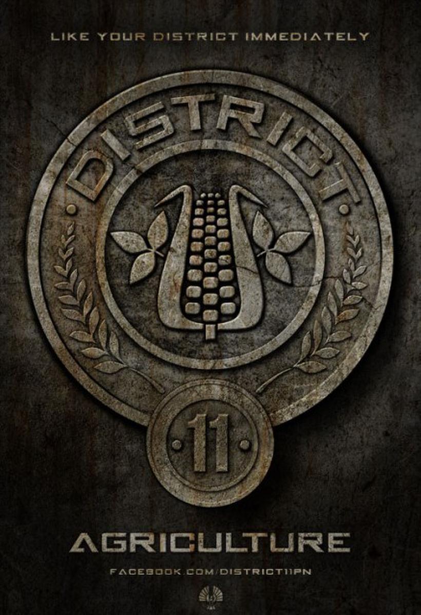 Distrito 11